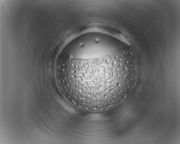 X0000081600361200701221142