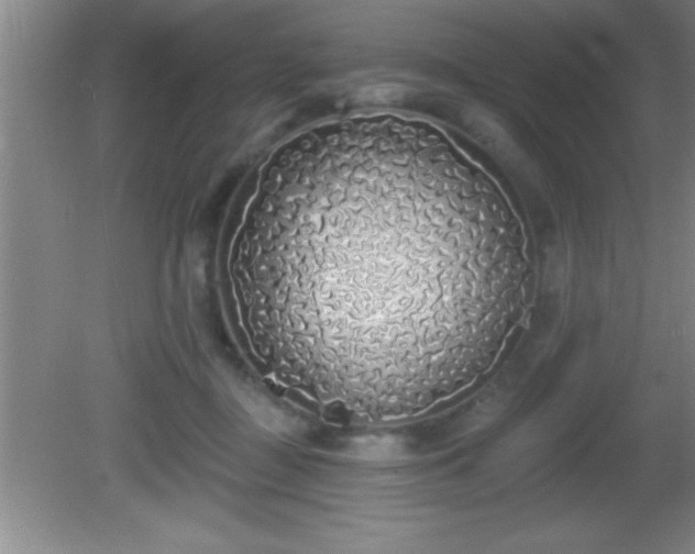 X0000081600363200701221142