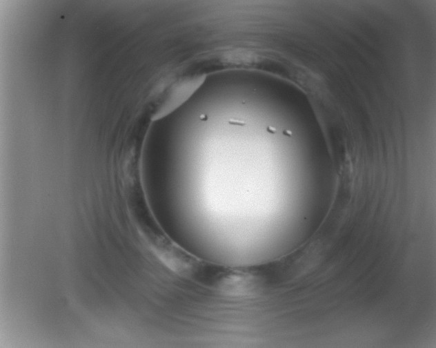 X0000081600364200701221142