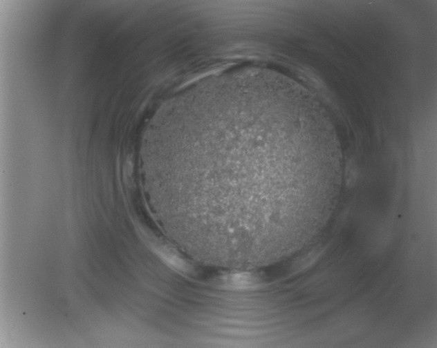 X0000081600365200701221142