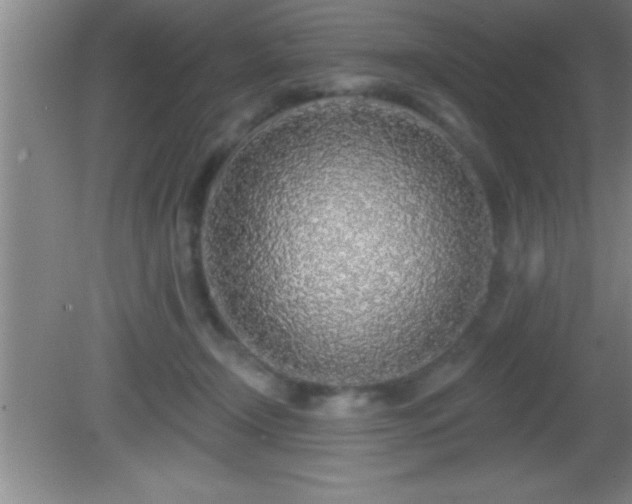 X0000081600366200701221142