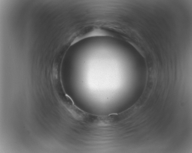 X0000081600368200701221142