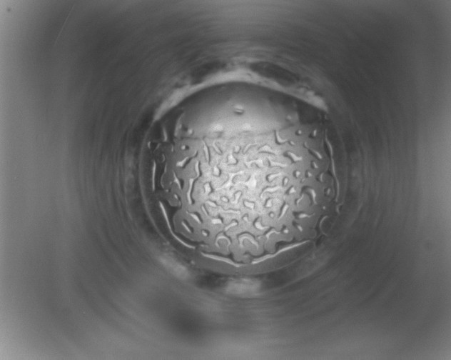 X0000081600369200701221142