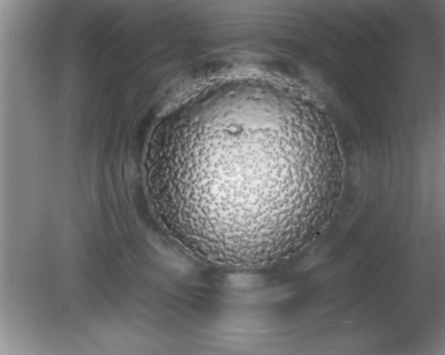 X0000081600371200701221142