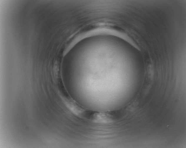 X0000081600372200701221142