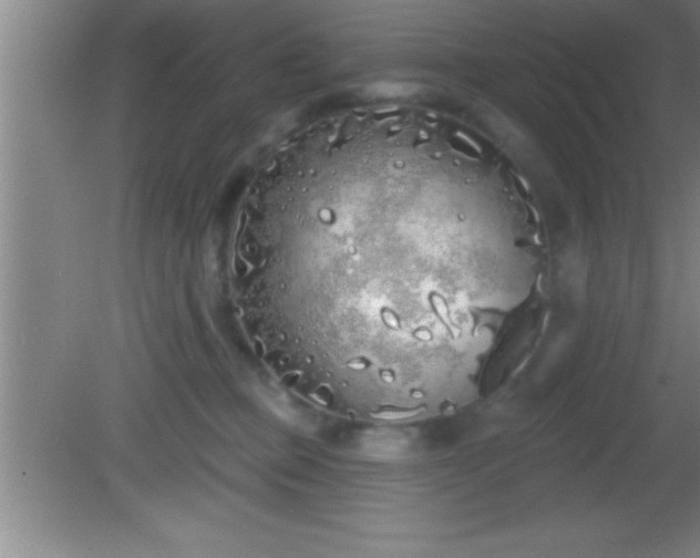 X0000081600373200701221142