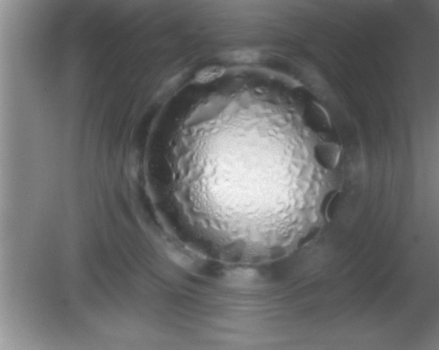 X0000081600374200701221142