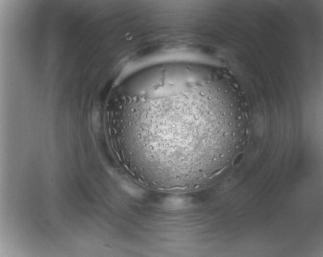 X0000081600375200701221143