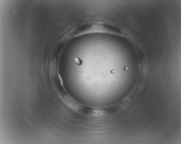 X0000081600376200701221143