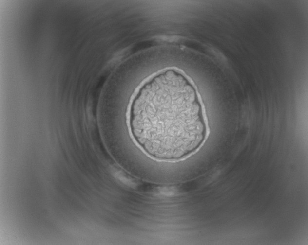 X0000081600377200701221143