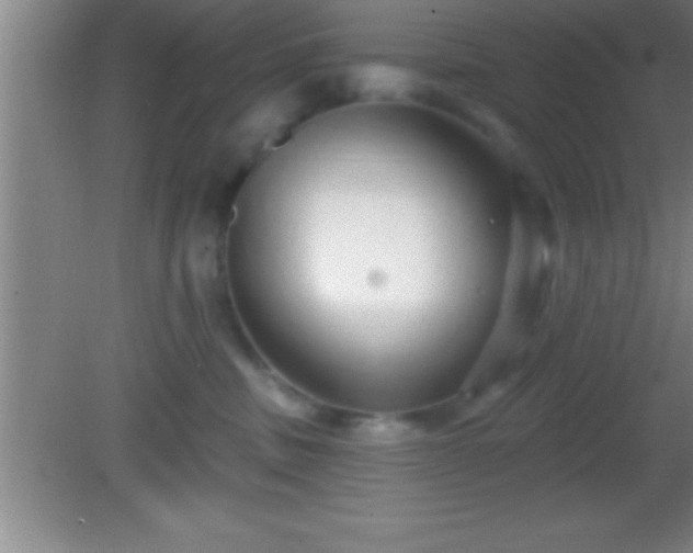 X0000081600379200701221143