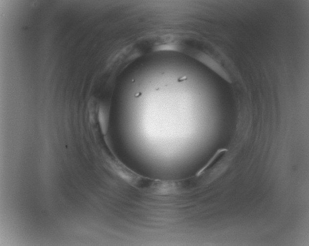 X0000081600384200701221143