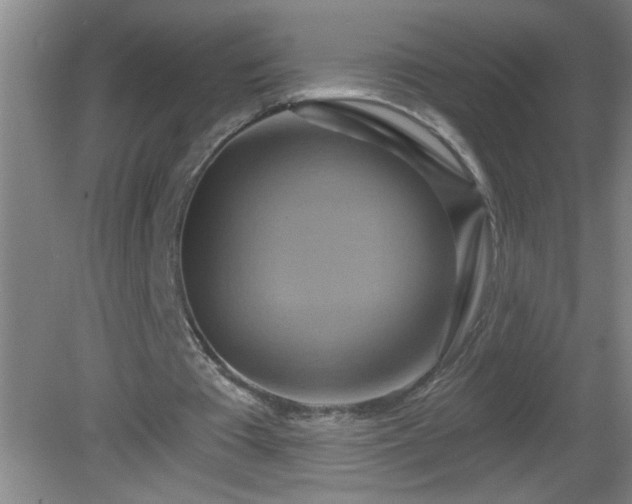 X0000081600385200701221142