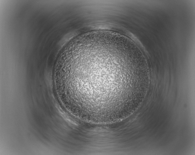 X0000081600386200701221142