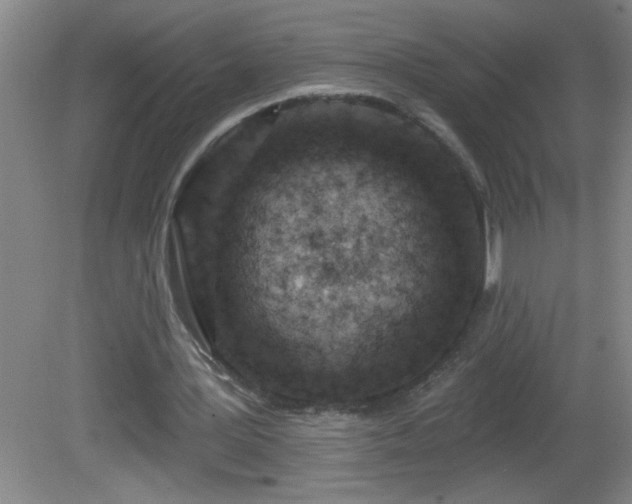 X0000081600387200701221142