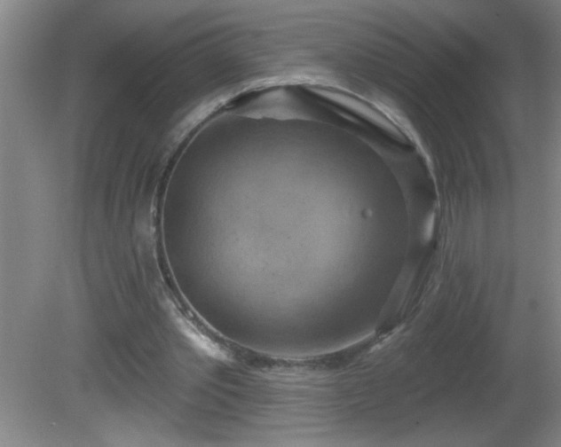 X0000081600389200701221142