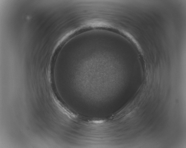 X0000081600391200701221142