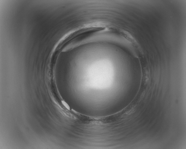 X0000081600392200701221142