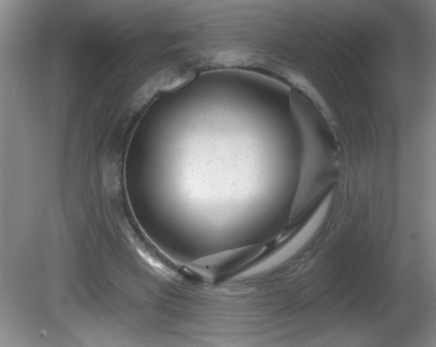 X0000081600393200701221142