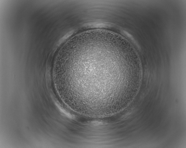 X0000081600394200701221142