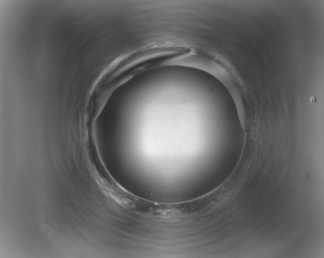 X0000081600395200701221142