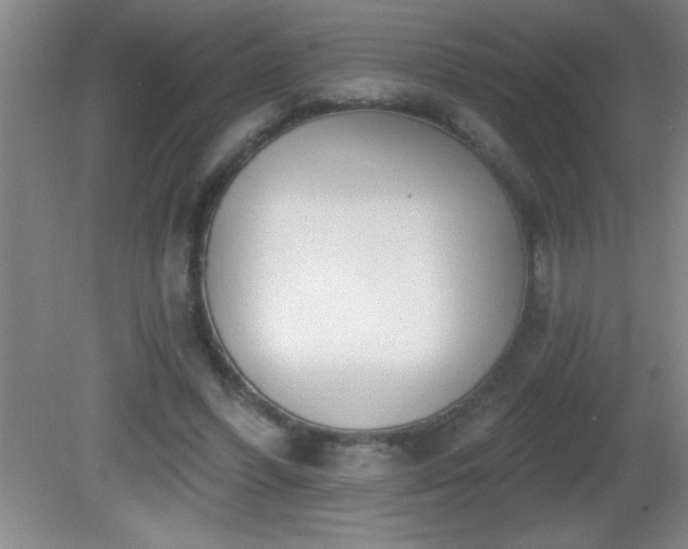 X0000081600396200701221142