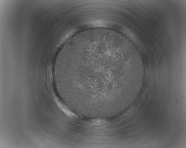 X0000081600398200701221142