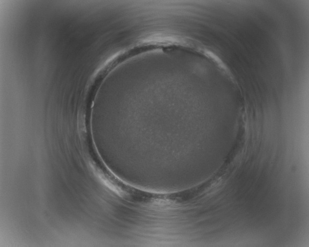 X0000081600399200701221142