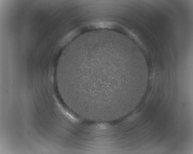 X0000081600402200701221142