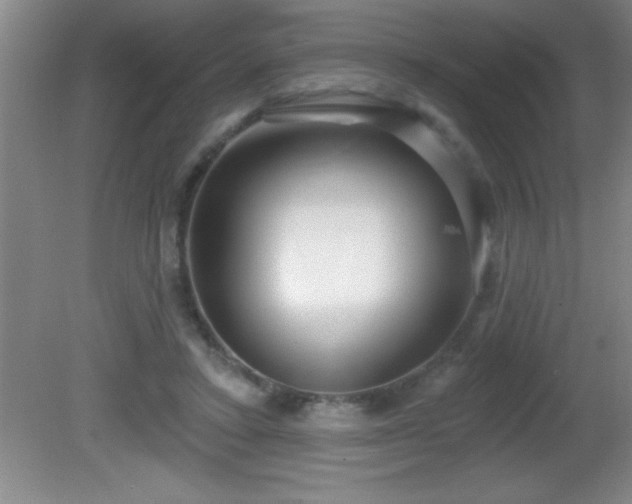 X0000081600403200701221142