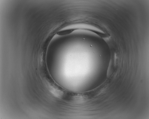 X0000081600404200701221142