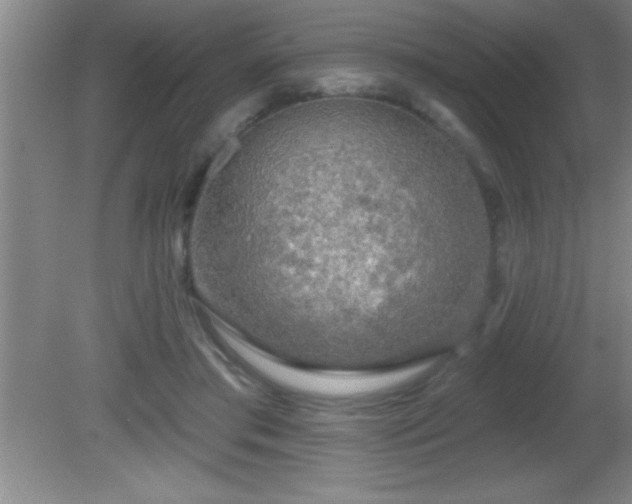 X0000081600405200701221142