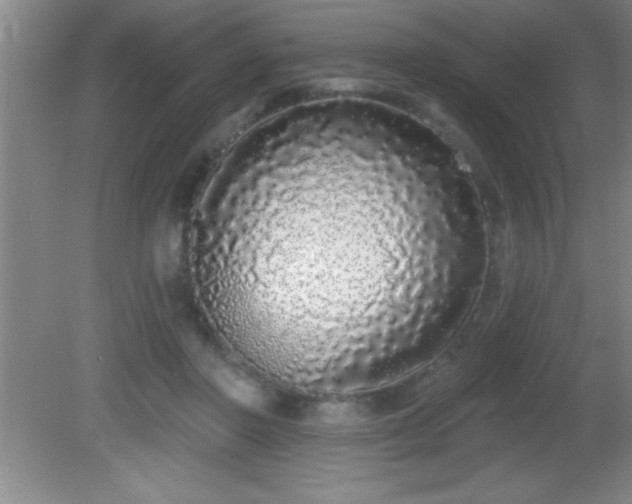 X0000081600406200701221142