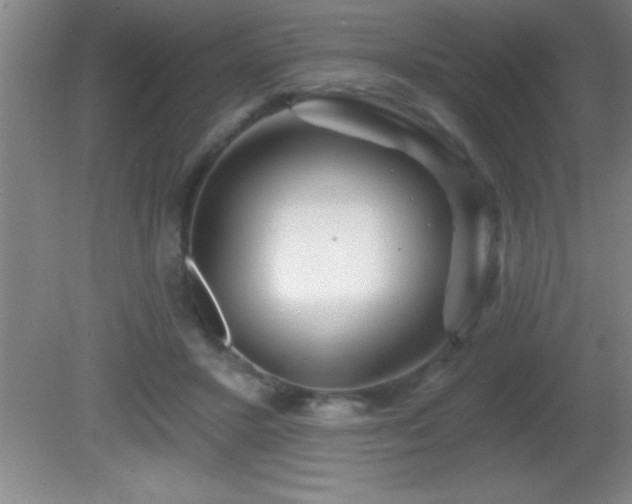 X0000081600407200701221141