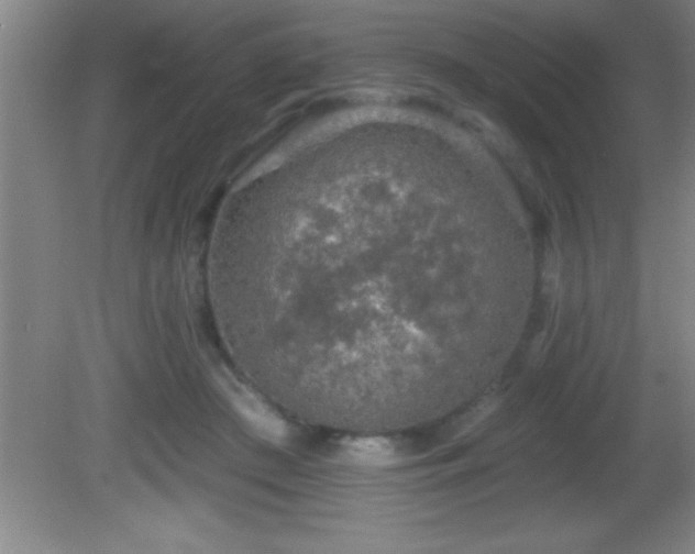 X0000081600409200701221141