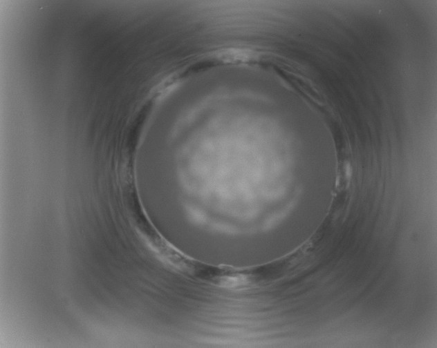 X0000081600411200701221141