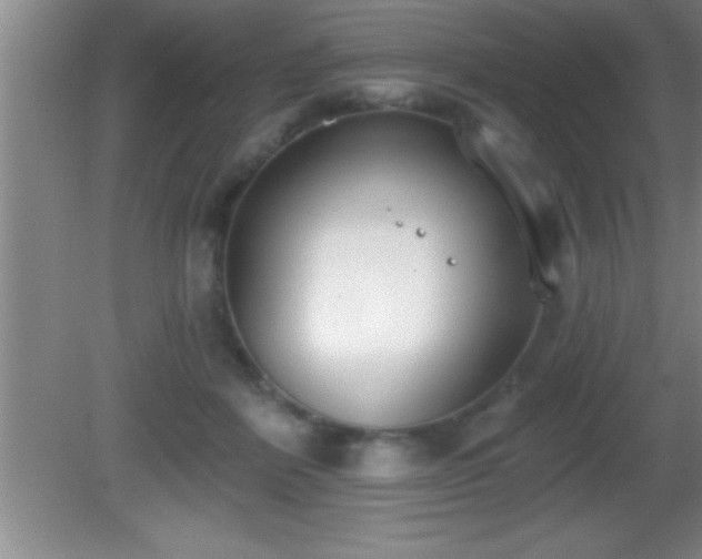 X0000081600412200701221141