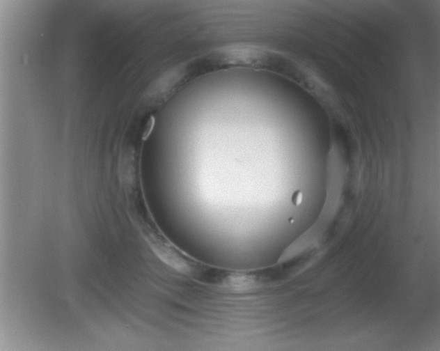 X0000081600413200701221141