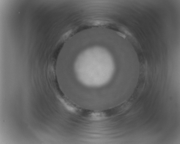 X0000081600415200701221141