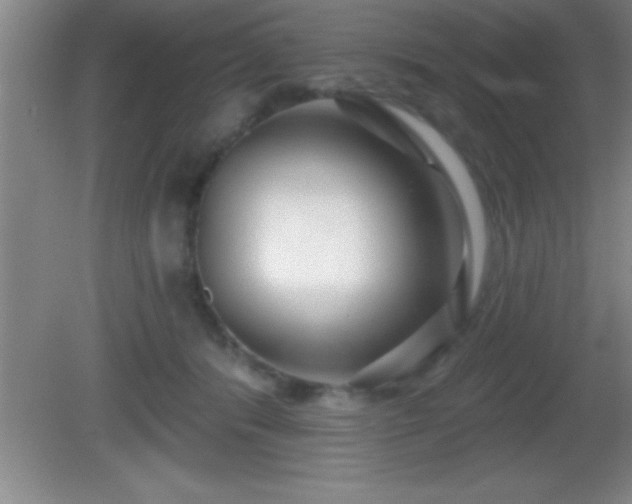 X0000081600416200701221141