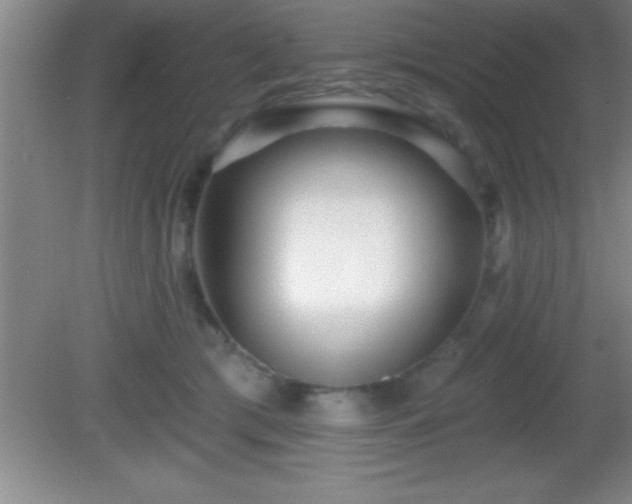 X0000081600417200701221141