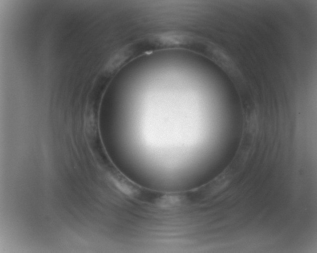 X0000081600418200701221141