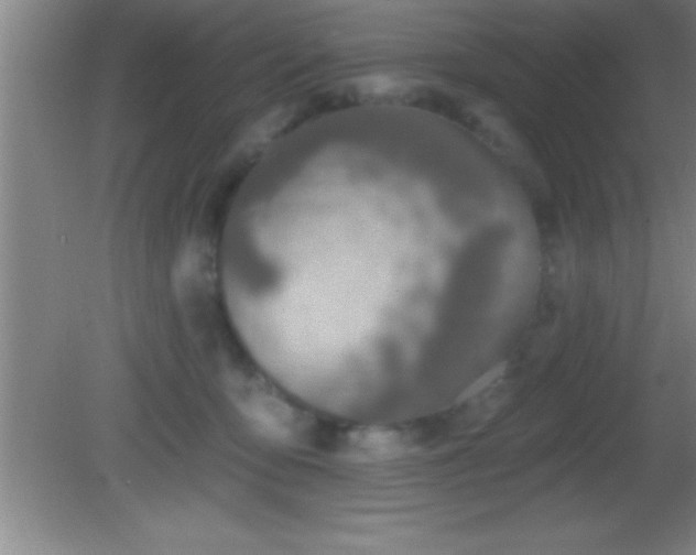 X0000081600419200701221141