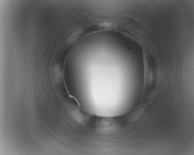 X0000081600420200701221141