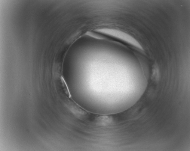 X0000081600421200701221141