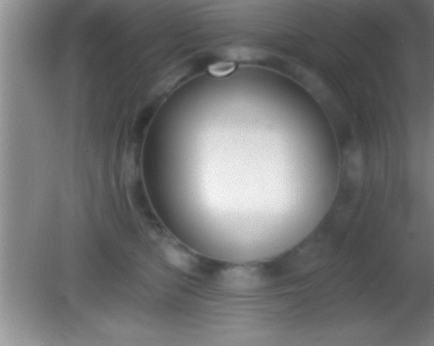 X0000081600422200701221141