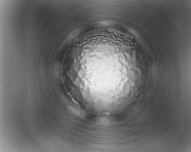 X0000081600423200701221141