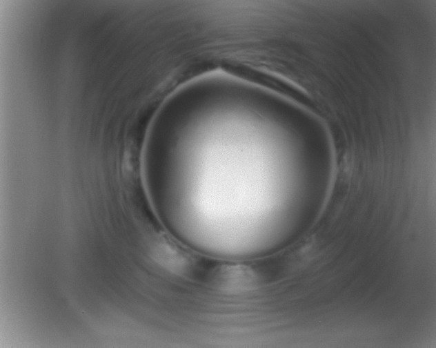 X0000081600424200701221141