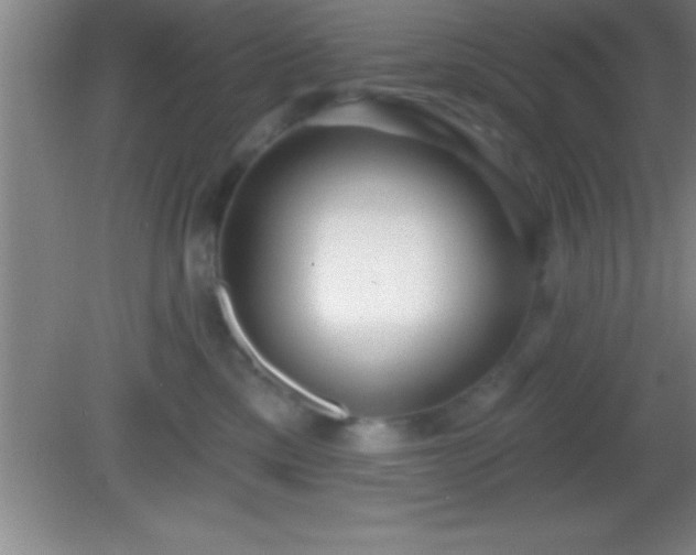 X0000081600425200701221141