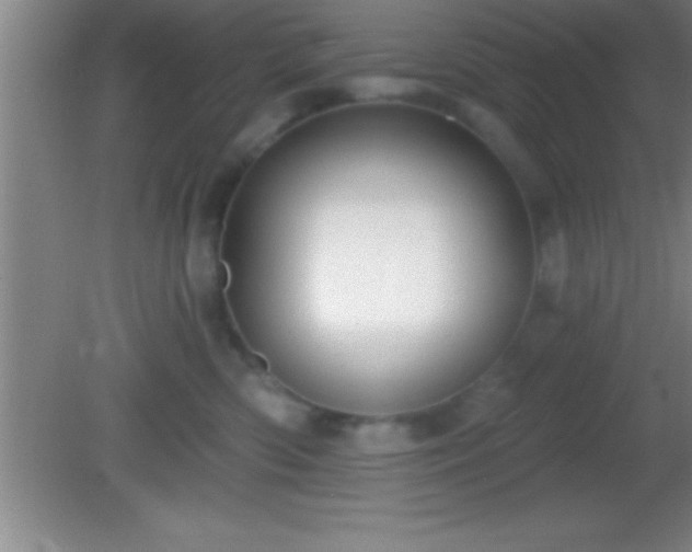 X0000081600426200701221141